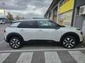 Citroen C4 Cactus 1.6 bluehdi Shine 100cv Beige - thumbnail 2