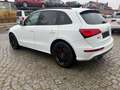 Audi SQ5 3.0 TDI competition quattro*B&O*Pano*Kam*ACC Weiß - thumbnail 4
