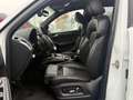 Audi SQ5 3.0 TDI competition quattro*B&O*Pano*Kam*ACC Weiß - thumbnail 8