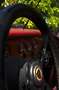 Panther Westwinds Kallista 2.8L Grau - thumbnail 11