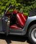 Panther Westwinds Kallista 2.8L Grau - thumbnail 19