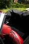 Panther Westwinds Kallista 2.8L Grau - thumbnail 18