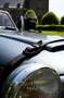 Panther Westwinds Kallista 2.8L Grau - thumbnail 17