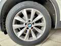 BMW X3 xDrive20d Eletta*automatica Bianco - thumbnail 15