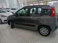 Fiat Panda Panda III 2016 1.2 Easy s Grigio - thumbnail 18