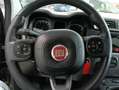 Fiat Panda Panda III 2016 1.2 Easy s Grigio - thumbnail 15
