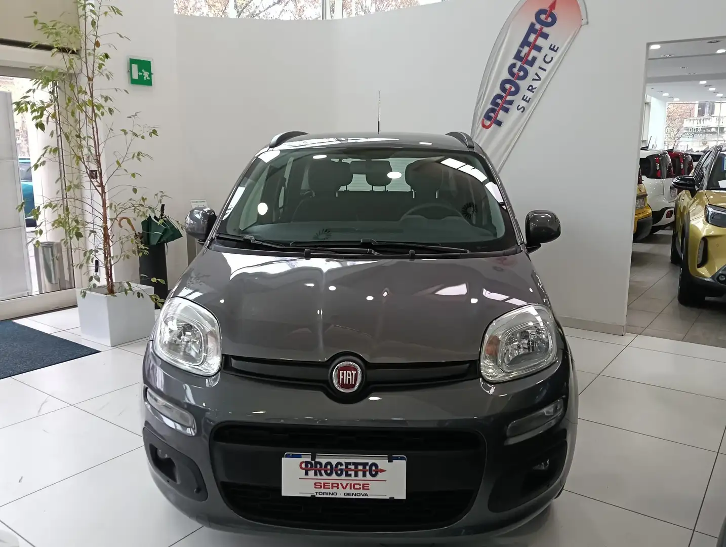 Fiat Panda Panda III 2016 1.2 Easy s Grigio - 2