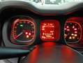 Fiat Panda Panda III 2016 1.2 Easy s Grigio - thumbnail 11