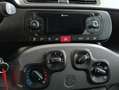 Fiat Panda Panda III 2016 1.2 Easy s Grigio - thumbnail 10