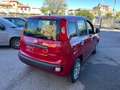 Fiat Panda Panda1.0 firefly hybrid KM 0 DIVERSI COLORI pronte Rouge - thumbnail 5