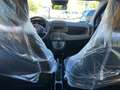 Fiat Panda Panda1.0 firefly hybrid KM 0 DIVERSI COLORI pronte Rouge - thumbnail 8