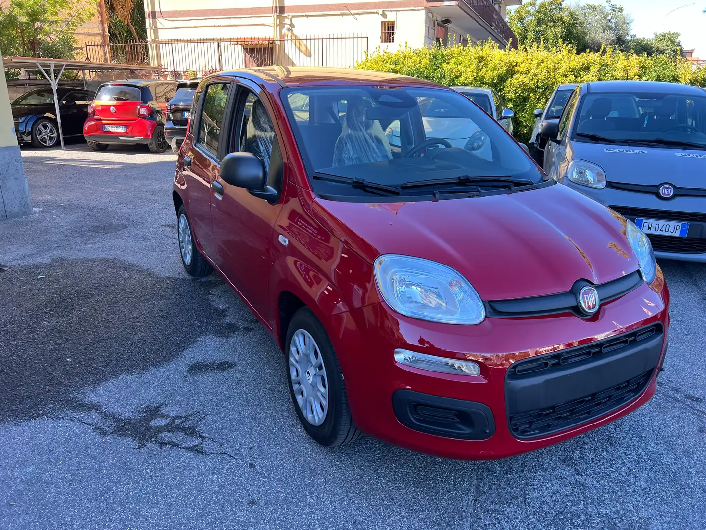 Fiat Panda Panda1.0 firefly hybrid KM 0 DIVERSI COLORI pronte Rosso - 2