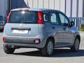 Fiat Panda 1.2 Easy s Grijs - thumbnail 3