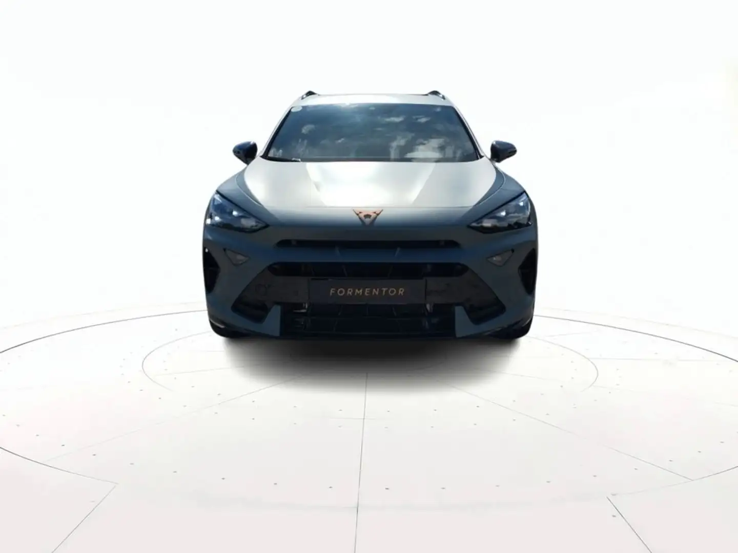 CUPRA Formentor 2.0 tdi 150cv dsg Grigio - 2