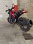 Benelli Leoncino 500 trial Rosso - thumbnail 3