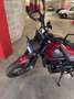Benelli Leoncino 500 trial Rosso - thumbnail 5