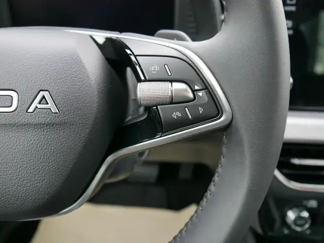 Skoda Kamiq view 15