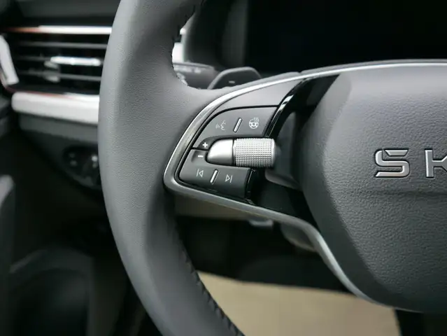 Skoda Kamiq view 14