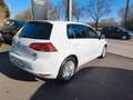 Volkswagen Golf VII 1.2TSI Cup Weiß - thumbnail 3