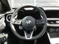 Alfa Romeo Stelvio 2.0 T 280PK GME AWD Competizione | Leder | Panoram Zwart - thumbnail 19