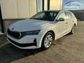 Skoda Octavia "Essence" LIEFERUNG KOSTENLOS! Angebot f. Mensc... - thumbnail 31