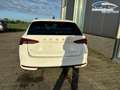 Skoda Octavia "Essence" LIEFERUNG KOSTENLOS! Angebot f. Mensc... - thumbnail 28