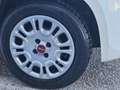 Fiat Panda 1.3 MJT 95 CV S&S Easy  KM.64.000 Weiß - thumbnail 8