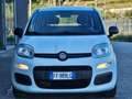 Fiat Panda 1.3 MJT 95 CV S&S Easy  KM.64.000 Weiß - thumbnail 7