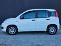 Fiat Panda 1.3 MJT 95 CV S&S Easy  KM.64.000 Weiß - thumbnail 2