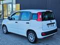 Fiat Panda 1.3 MJT 95 CV S&S Easy  KM.64.000 Weiß - thumbnail 3