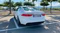 Jaguar XF 2.0d R-Sport 180cv auto Bianco - thumbnail 2