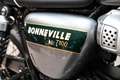 Triumph Bonneville T100 Goldline Verde - thumbnail 6