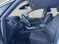 Ford S-Max 2.5 Duratec FHEV TITANIUM Bianco - thumbnail 10