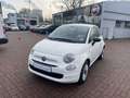Fiat 500 1.0 CLUB Klima*Tempomat*Apple CarPlay Weiß - thumbnail 1