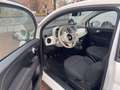 Fiat 500 1.0 CLUB Klima*Tempomat*Apple CarPlay Weiß - thumbnail 5