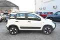 Fiat Panda 1.0 FireFly S&S Hybrid City Cross Wit - thumbnail 4