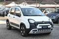 Fiat Panda 1.0 FireFly S&S Hybrid City Cross Wit - thumbnail 3