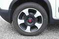 Fiat Panda 1.0 FireFly S&S Hybrid City Cross Wit - thumbnail 10