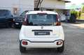 Fiat Panda 1.0 FireFly S&S Hybrid City Cross Wit - thumbnail 6