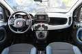 Fiat Panda 1.0 FireFly S&S Hybrid City Cross Wit - thumbnail 11