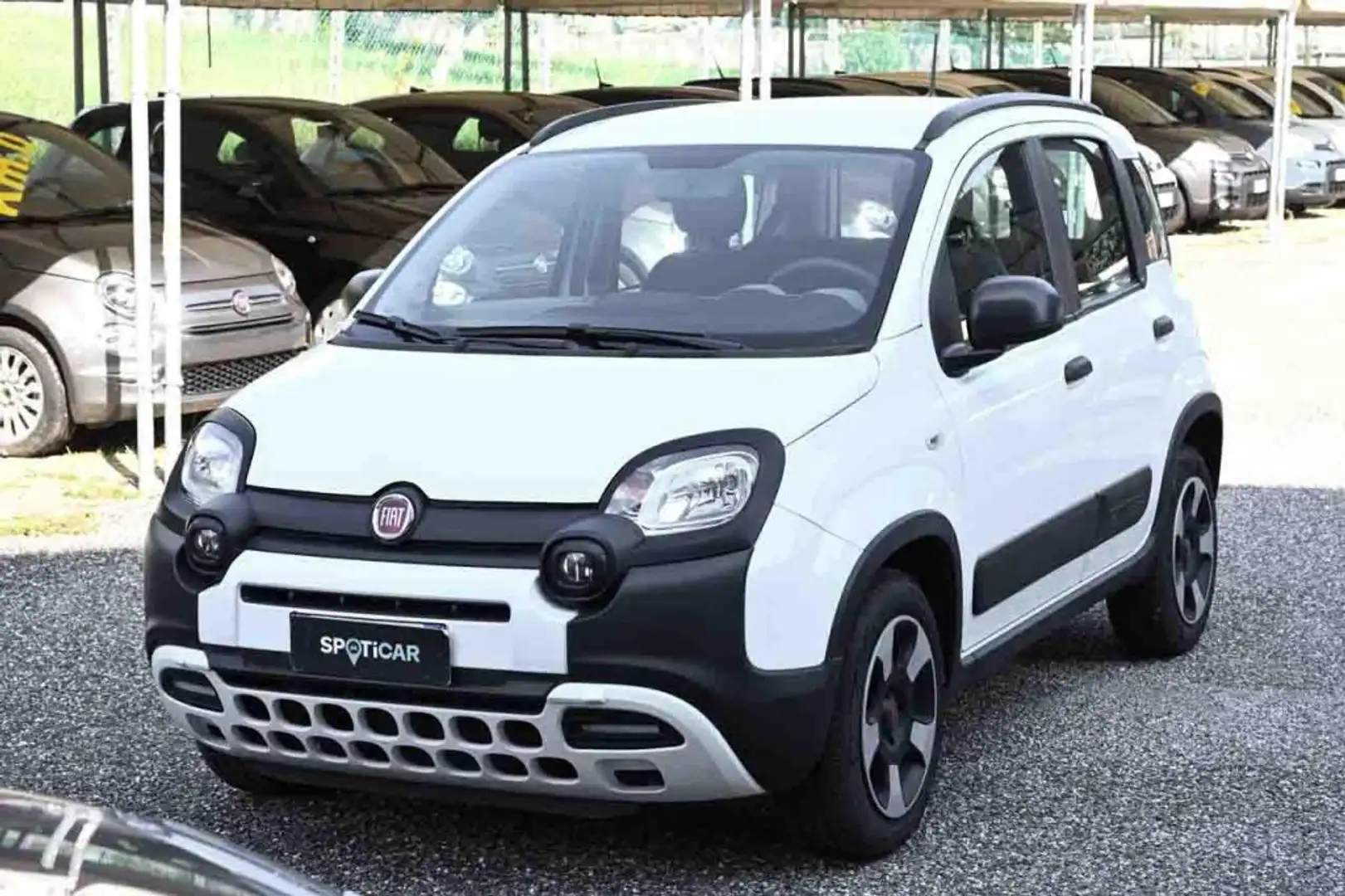 Fiat Panda 1.0 FireFly S&S Hybrid City Cross Wit - 1