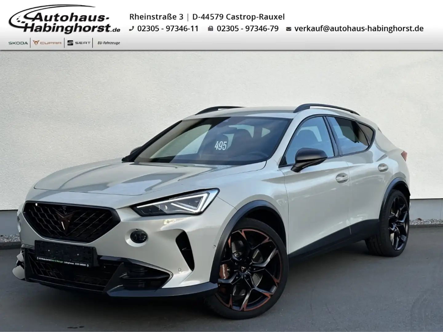 CUPRA Formentor 2.5 TSI DSG 4DriveVZ5 Edition Taiga Grey Beats 20A Grau - 1