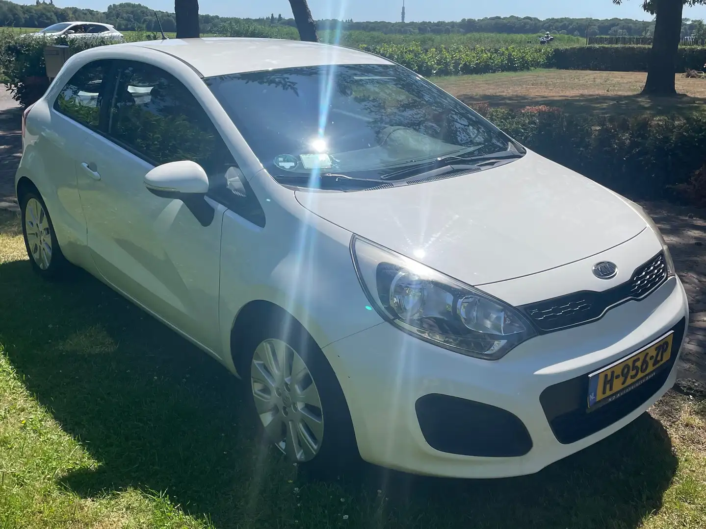 Kia Rio Rio 1.2 CVVT Blanc - 1