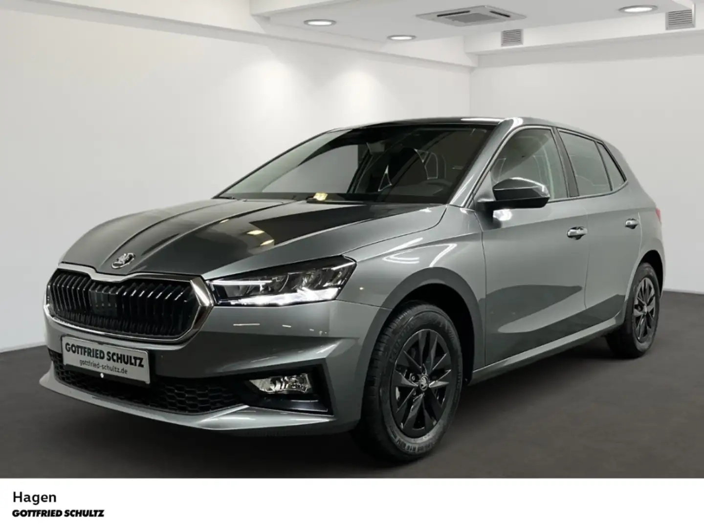 Skoda Fabia Selection 1.0 TSI Grau - 2