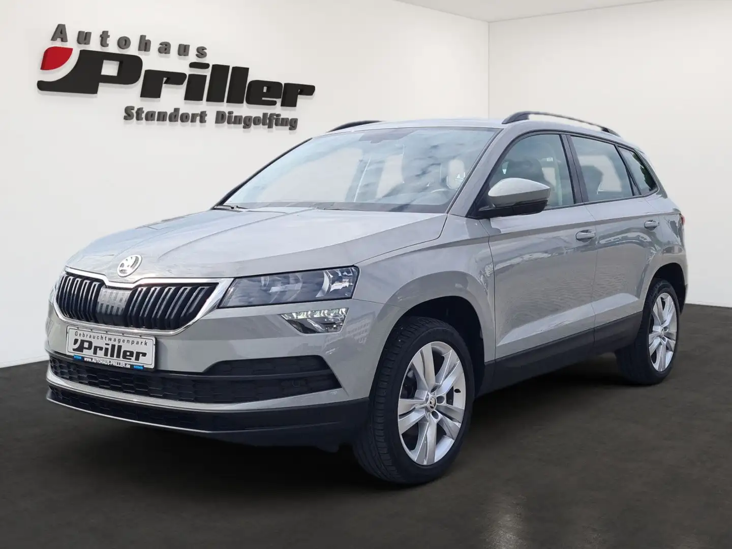 Skoda Karoq 1.6 TDI DSG Style/NAVI/DAB+/Apple/WLAN/ Grau - 1