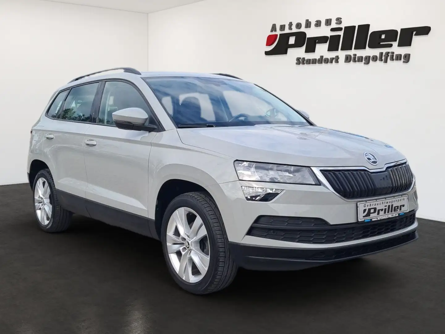 Skoda Karoq 1.6 TDI DSG Style/NAVI/DAB+/Apple/WLAN/ Grau - 2