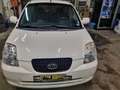 Kia Picanto Picanto 1.0 LX Spirit Bianco - thumbnail 6