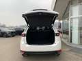 Mazda CX-5 CD184 AWD Revolution Top Weiß - thumbnail 10