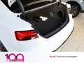 Audi A5 Coupe 40 TFSI S-Line quattro ACC B&O Competition+ Білий - thumbnail 7