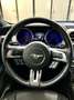 Ford Mustang 2.3 317cv AUTOMATICA VETTURA ITALIANA KM FORD Blu/Azzurro - thumbnail 11